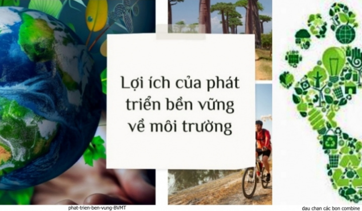 Với CSRD doanh nghiệp cần quan tâm thực hành phát triển bền vững chứ không chỉ là “dấu chân” môi trường