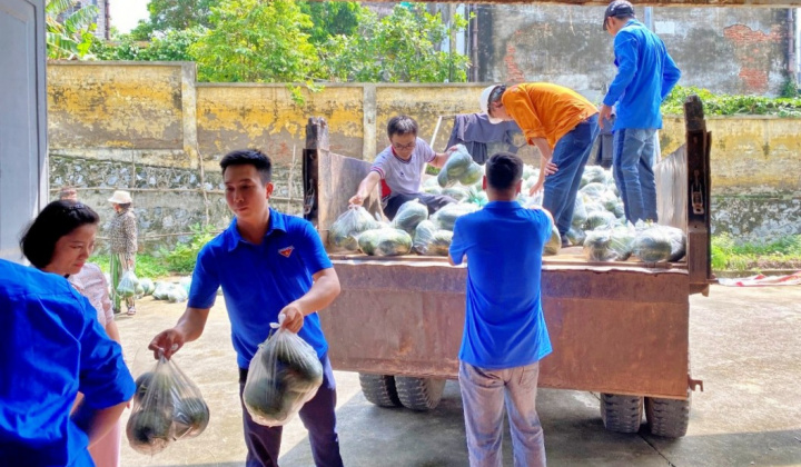 Nhiệt điện Phả Lại hỗ trợ bà con nông dân tại Chí Linh tiêu thụ 4 tấn dưa hấu