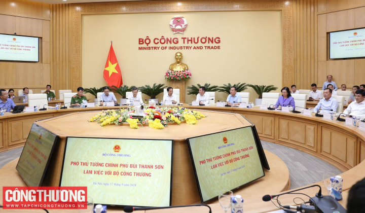 Phó Thủ tướng Chính phủ Bùi Thanh Sơn làm việc với Bộ Công Thương