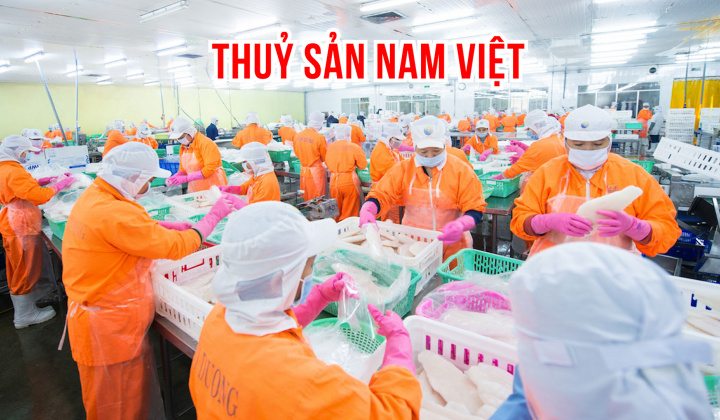 Cổ đông Thuỷ sản Nam Việt (ANV) nhận cổ tức trong lúc chờ phát hành tỷ lệ 1:1