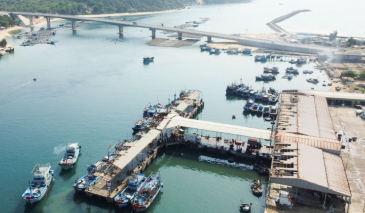 Bình Định: Mở rộng cảng cá Đề Gi đạt công suất lượng thủy sản qua cảng đạt 30.000 tấn/năm