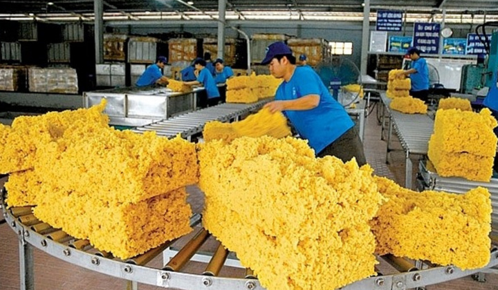 Thị giá tăng 65%, Dakruco quyết tâm thoái vốn khỏi Đầu tư Cao su Đắk Lắk (DRI)