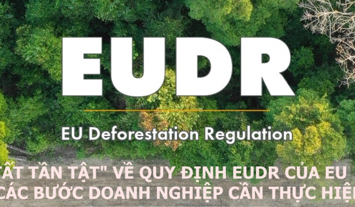 [Emagazine] “Tất tần tật” về Quy định EUDR của EU và các bước doanh nghiệp cần thực hiện
