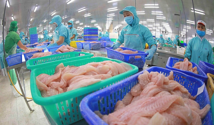 Cước vận chuyển tăng vọt “ăn mòn” lãi của Đa Quốc Gia IDI