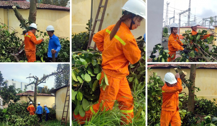 PTC1 vào cuộc ứng phó khẩn cấp với siêu bão YAGI