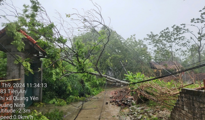 Tổng công ty Điện lực miền Bắc ứng trực, xử lý kịp thời các sự cố do bão số 3 Yagi