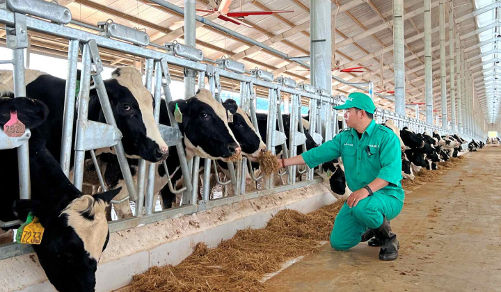 Vinamilk (VNM) nâng mức đầu tư cho trang trại bò sữa tại Lào lên hơn 2.100 tỷ đồng