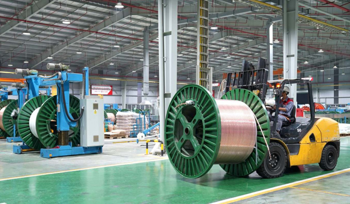 Lãi ròng của Tập đoàn GELEX (GEX) năm 2024 có thể tăng 143%