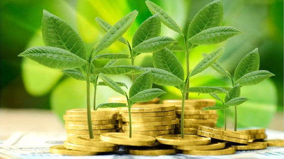 Phát triển các ngân hàng xanh theo pháp luật Việt Nam