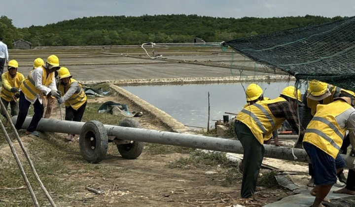 Niềm vui được cấp điện lưới quốc gia: Chuyện ở một xã đảo của TP.HCM