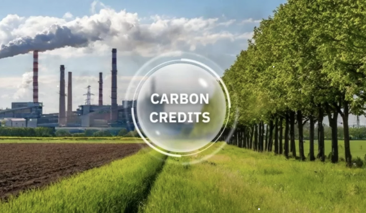 Năm 2029, chính thức vận hành thị trường carbon tại Việt Nam