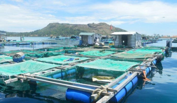 Đề xuất chính sách hỗ trợ chuyển đổi nghề cho ngư dân ven bờ ở TP. Nha Trang