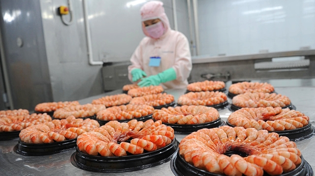 Vượt gió ngược, Thực phẩm Sao Ta (FMC) báo doanh số năm 2024 tăng 25%