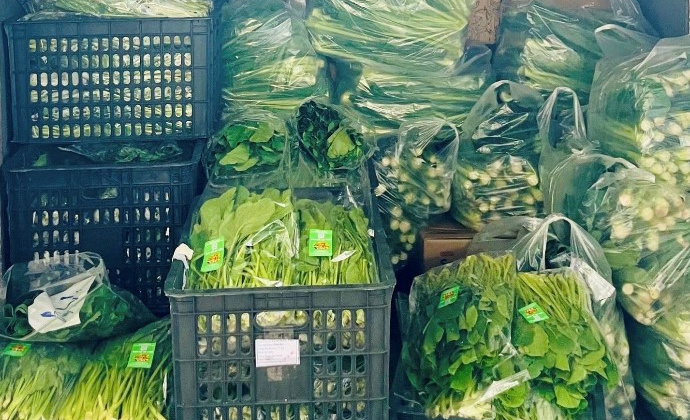 Công đoàn Tổng công ty Thép Việt Nam: Khẩn trương, tích cực cứu trợ người lao động khắc phục hậu quả bão số 10, 11