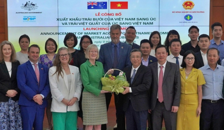 Trái bưởi Việt Nam chính thức được xuất khẩu vào thị trường Australia