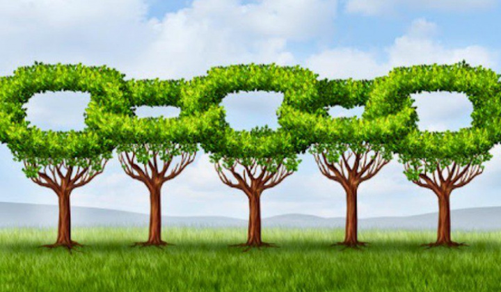 Quản trị xanh trong chuỗi cung ứng góp phần nâng cao năng lực cạnh tranh của doanh nghiệp