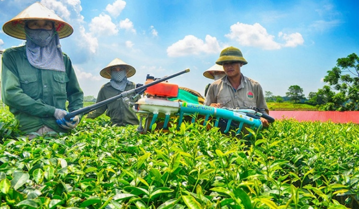 Ban hành Quy chế hoạt động của Ban Chỉ đạo quốc gia về kinh tế tập thể