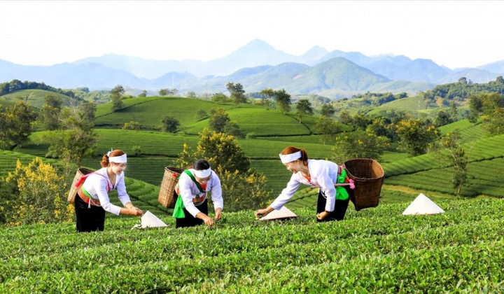 Tích hợp 3 chương trình mục tiêu quốc gia, tránh chồng chéo