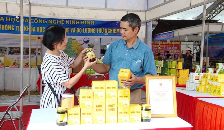 Ninh Bình: Thương mại, dịch vụ 9 tháng đầu năm tăng trưởng cao