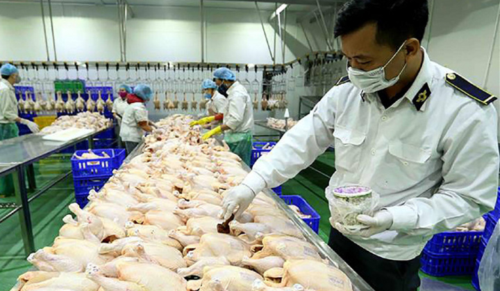 Hà Nội siết quản lý, xử lý nghiêm vi phạm để bảo đảm an toàn thực phẩm đến năm 2030