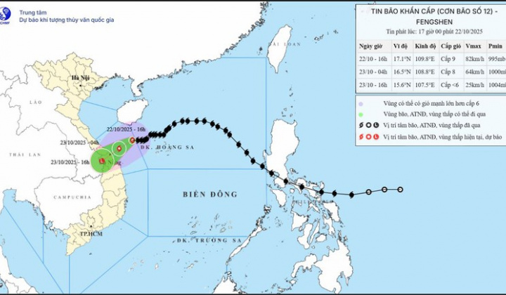Thủ tướng chỉ đạo đình hoãn các cuộc họp không cấp bách để ứng phó bão, mưa lũ, ngập lụt