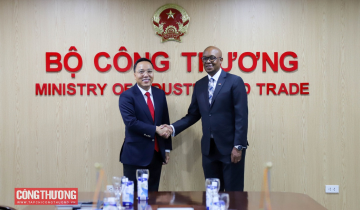 Thúc đẩy hợp tác, đàm phán nhằm phát triển quan hệ thương mại Việt Nam - Nam Phi