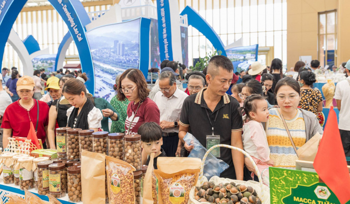 Hội chợ Mùa Thu: Khi Rùa Vàng đánh thức niềm tự hào nông sản Việt