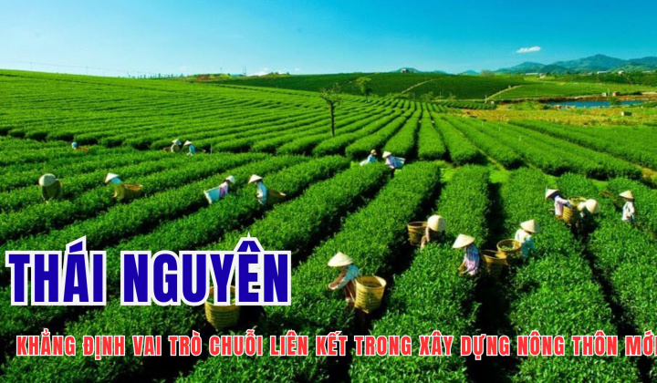 Thái Nguyên khẳng định vai trò chuỗi liên kết trong xây dựng nông thôn mới