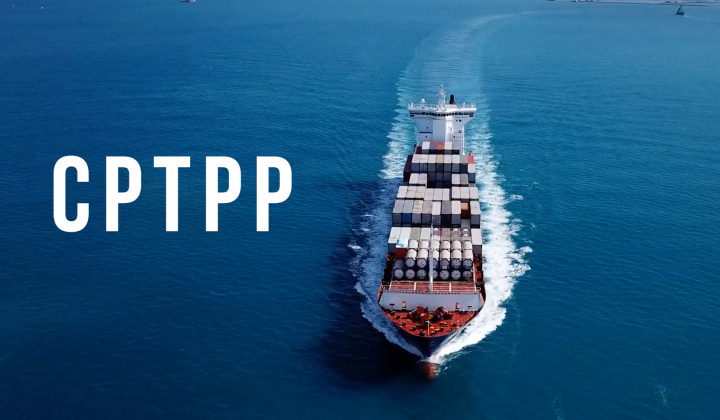 Tận dụng lợi thế, tham gia chuỗi cung ứng của các nước CPTPP