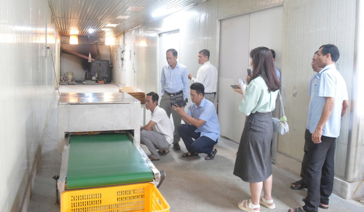 Cà Mau ban hành Chương trình Khuyến công giai đoạn 2026–2030: Thúc đẩy công nghiệp nông thôn phát triển bền vững