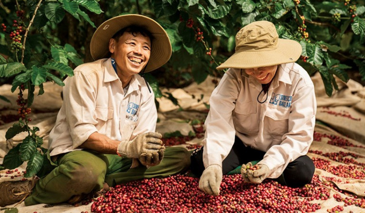 Điều gì làm nên kỷ lục xuất khẩu cho ngành cà phê Việt Nam trong năm 2025?