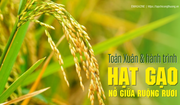 [eMagazine] Toản Xuân và hành trình “Hạt gạo nở giữa ruộng rươi”