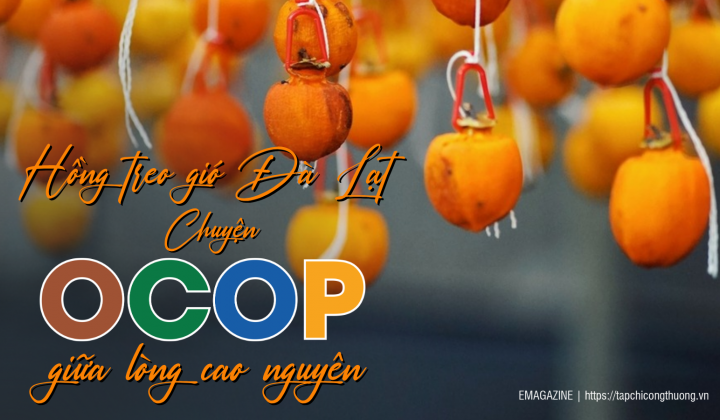 Hồng treo gió Đà Lạt - Chuyện OCOP giữa lòng cao nguyên