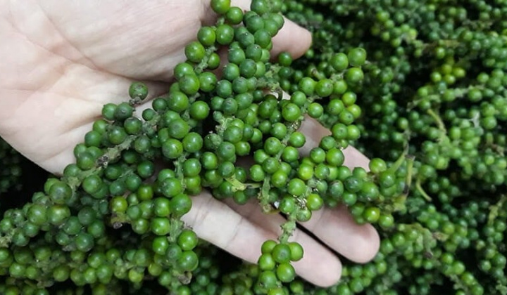 Giá tiêu hôm nay 13/11: Hồ tiêu Việt Nam đạt năng suất vượt trội, phát triển theo hướng canh tác bền vững