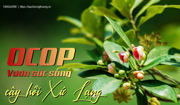 [eMagazine] OCOP - Vươn sức sống cây hồi Xứ Lạng