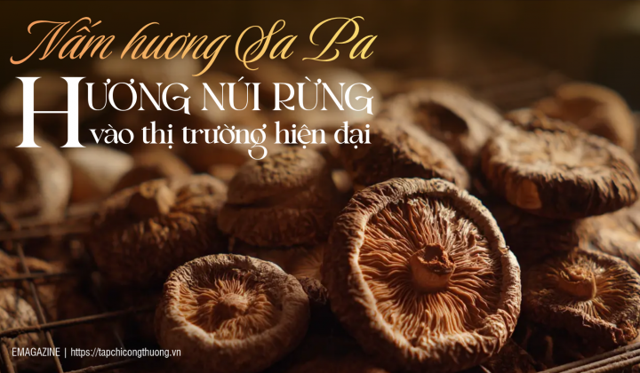[eMagazine] Nấm hương Sa Pa: Hương núi vào thị trường hiện đại