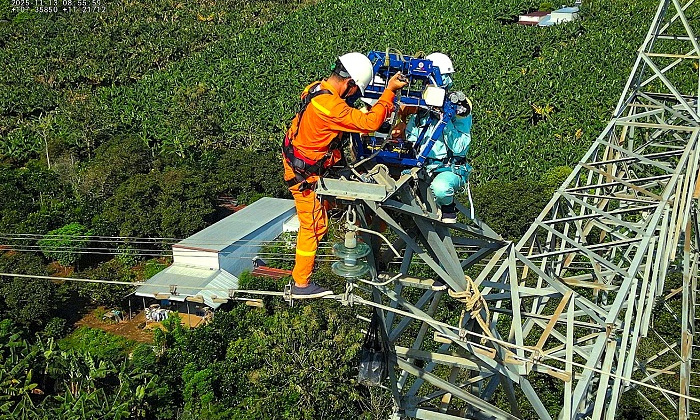 Phối hợp xử lý hiện tượng dây chống sét bị tưa trên đường dây 500kV không cần cắt điện