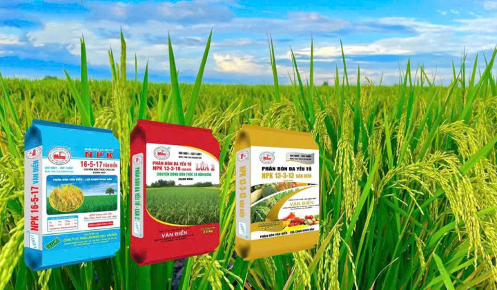 Phân bón Văn Điển - Nuôi dưỡng “Hạt ngọc mùa vàng” năng suất cao