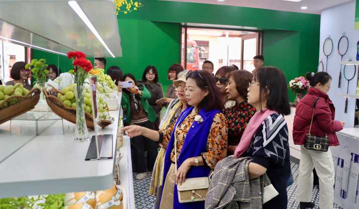 Khai mạc Phòng trưng bày Hàng thật - Hàng giả lần thứ 18