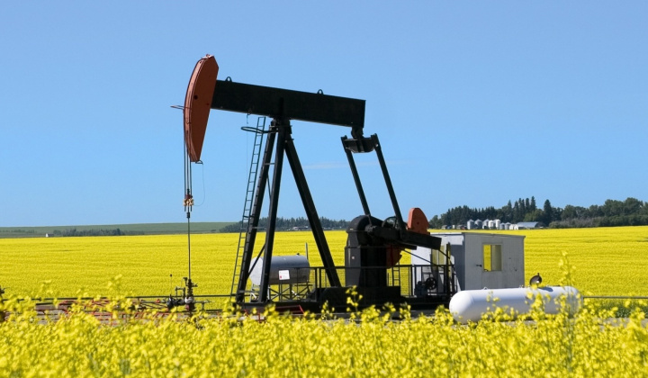 Giá xăng dầu hôm nay 3/11: OPEC+ ngừng tăng sản lượng trong quý I/2026