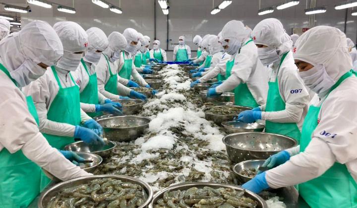 Hàn Quốc tăng nhập khẩu thủy sản từ Việt Nam