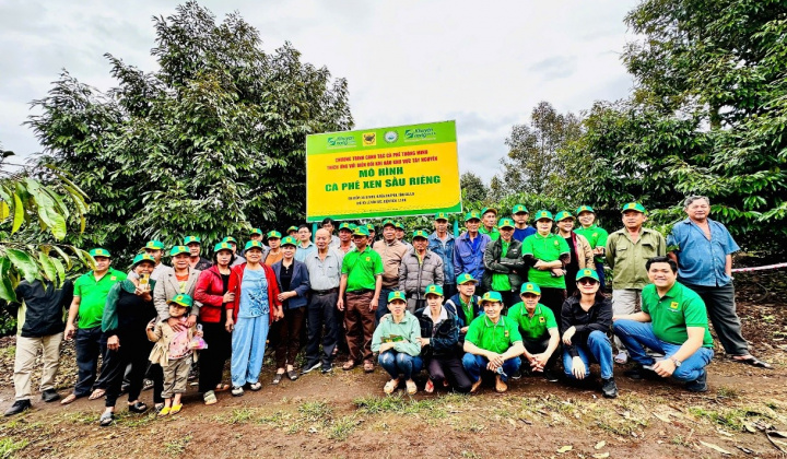 Cà phê Việt Nam trước biến đổi khí hậu: Thách thức và giải pháp thích ứng