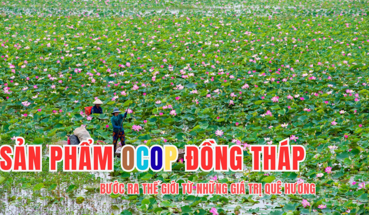 Sản phẩm OCOP Đồng Tháp: Bước ra thế giới từ những giá trị quê hương
