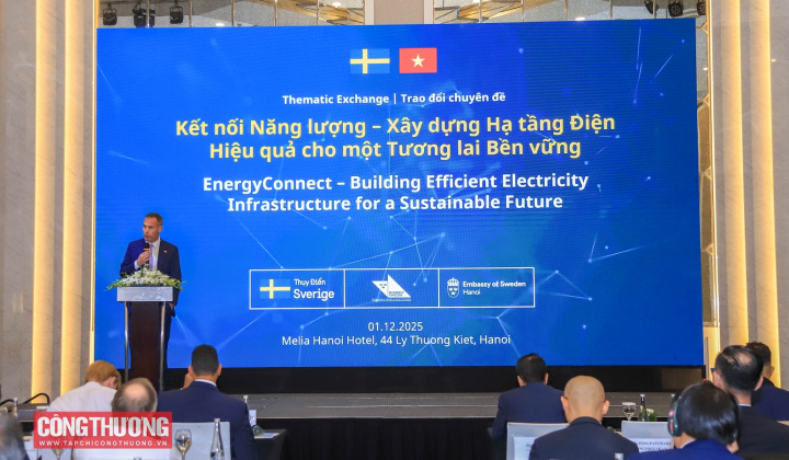 Thụy Điển đề xuất các giải pháp xây dựng hạ tầng điện hiệu quả tại Việt Nam