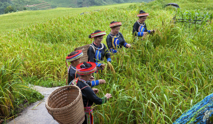 Thái Nguyên sau sáp nhập: Phát huy vai trò truyền thông chính sách để giảm nghèo hiệu quả