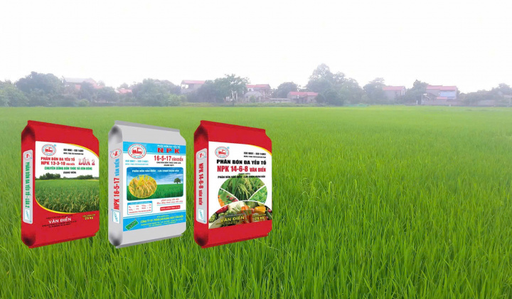 Vụ đông - Thời điểm vàng để cải tạo đất với phân lân Văn Điển