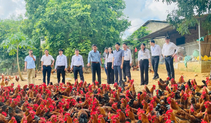 Tân Khánh (Thái Nguyên) đảm bảo an sinh xã hội hướng đến “không ai bị bỏ lại phía sau”