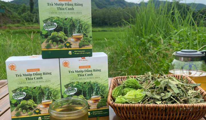 Thái Nguyên: Lan tỏa những mô hình kinh tế bền vững từ những hạt nhân điển hình.