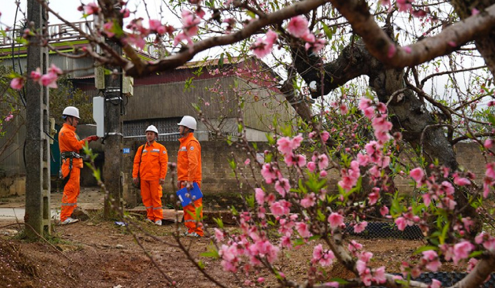 Tết Ất Tỵ 2025: Cung cấp điện ổn định, toàn hệ thống vận hành an toàn