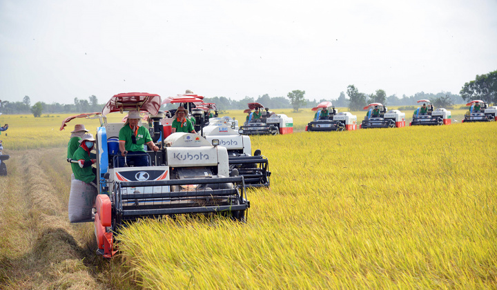 Cơ chế điều chỉnh biên giới carbon (CBAM): Kinh nghiệm quốc tế và hàm ý chính sách cho Việt Nam